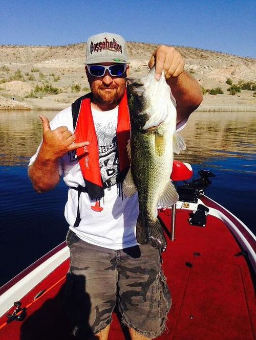 娱乐吃瓜钓鱼视频下载,一键下载收藏攻略